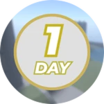 1 Day