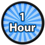 1 Hour