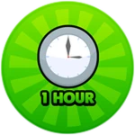 1 Hour