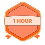 1 Hour