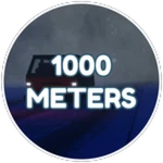 1000 METERS