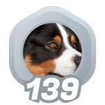 139: Dog Breeds