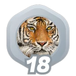 18: Wild Animals