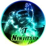 1T Ninjitsu