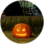 2024 Pumpkin Hunt