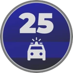 25 Arrests