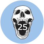 25 Executions