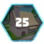 25 House Robberies