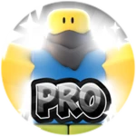 25 wins - Pro