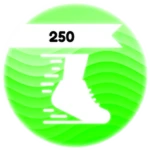 250 Speed
