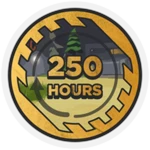 250 Total Hours!