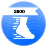 2500 Speed