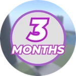 3 Months