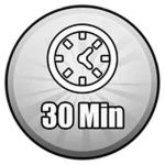 30 Minute Session