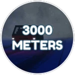 3000 METERS