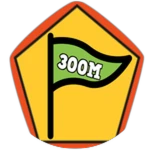 300M