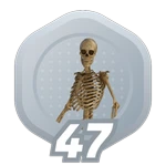 47: Skeletal Structure