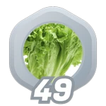 49: Vegetables