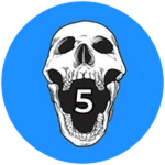 5 Executions