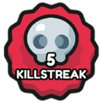 5 KILLSTREAK💀