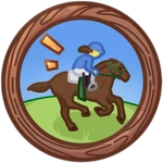 50 Races