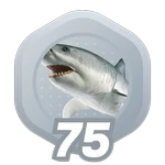 75: Aquatic Animals
