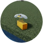 A Gold Brick