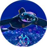 Aircraft Baby