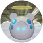 Angel Piggy