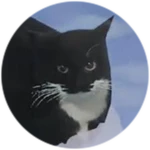 Angry Maxwell