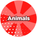 Animals [Hard]