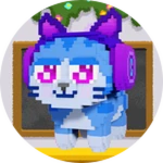 Aoki