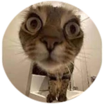 Are You Serious Right Neow?