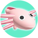 Axolotl