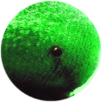 {