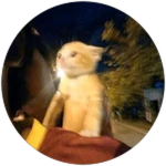 Skilled Speedrunner