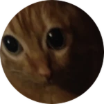 Cat.