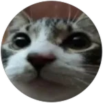 Meet MellowTV
