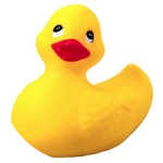 🐤