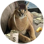 ballin