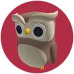 Barn Owl