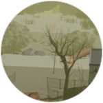 Basin