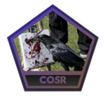  Beat The Citadel of Scythe Recognition
