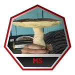 Beat The Mush Stepl (Unobtainable)