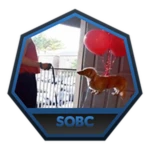 Beat The Steeple of Balloon Commune