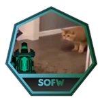 Beat The Steeple of Flourishing Wastelands