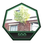 Beat The Steeple of Overgrowth