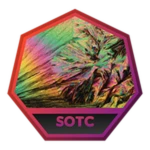 Beat The Steeple of Twisted Crystals