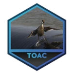 Beat The Tower of Aquatic Contemplation