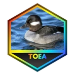 Beat The Tower of Extraordinary Adventures